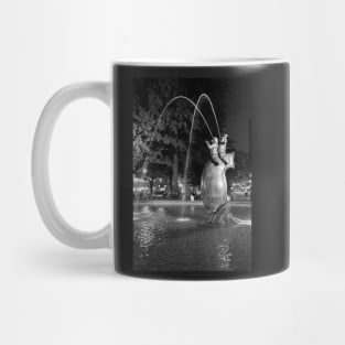 Fountain At Night Mug